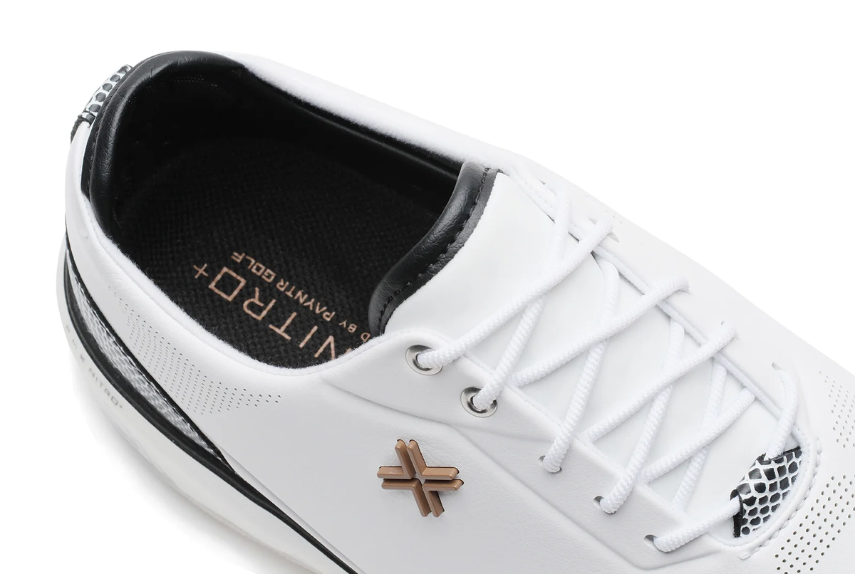 PAYNTR X-Eighty-Seven SC - Snake Skin